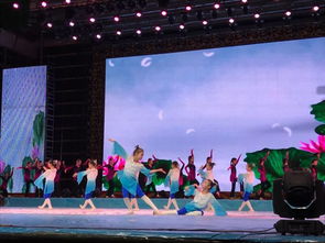 《祖國永遠是春天》——小江精品藝術學校2025年專場春節文藝演出暨廣播電視節目制作紀實