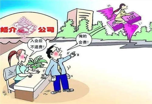 婚介服務(wù)期已過(guò)，脫單未成費(fèi)用能退嗎？法院判決揭示關(guān)鍵