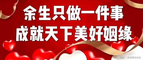 晉城婚戀新風(fēng)尚 初心如“香水百合”，專業(yè)婚介成就美滿姻緣